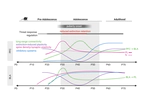 An Adolescent Sensitive Period for Threat Responding: Impacts of Stress and Sex